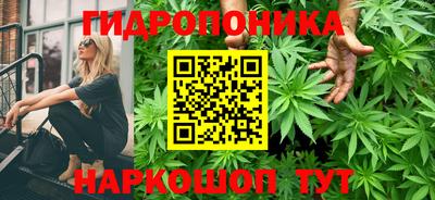 крисы Бугуруслан