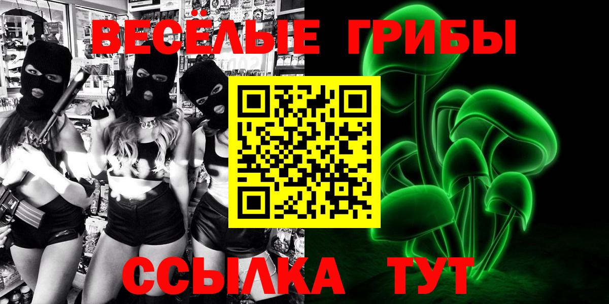 Галлюциногенные грибы Cubensis  Вход с VPN  Красногорск 